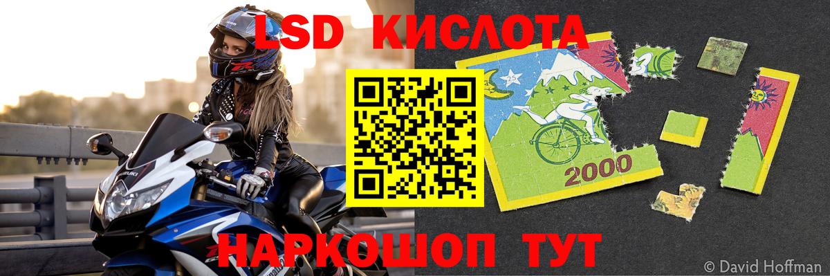 Заречный  Лсд 25 экстази кислота  Вход с VPN  ЛСД экстази  ЛСД экстази ecstasy 