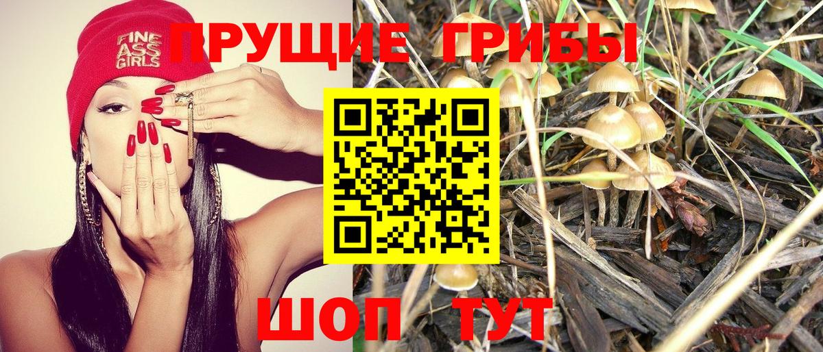 Галлюциногенные грибы GOLDEN TEACHER  Вход с VPN  Заречный 