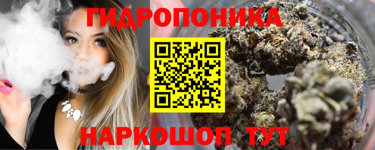 Конопля ГИДРОПОН  Вход с VPN  Заречный  Канабис индика  Конопля AK-47 